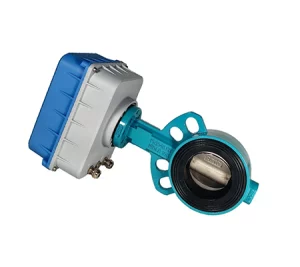 butterfly valve