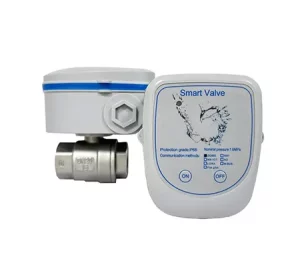 What Are Intelligent Valves